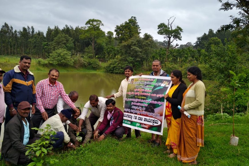 ಸೋಮವಾರಪೇಟೆ; ಶ್ರೀಧರ್ಮಸ್ಥಳ ಗ್ರಾಮೀಣಾಭಿವೃದ್ಧಿ ಯೋಜನೆಯ ವತಿಯಿಂದ ಗೋಣಿಮರೂರು ಗ್ರಾಮದಲ್ಲಿ ಕೆರೆ ಅಂಗಳದಲ್ಲಿ ಗಿಡ ನಾಟಿ ಕಾರ್ಯಕ್ರಮಕ್ಕೆ