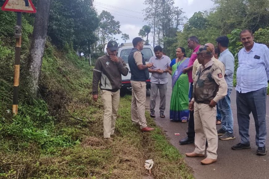 ಪದಕಲ್ಲು ಬಳಿ ಚಿರತೆ ಪ್ರತ್ಯಕ್ಷ: ಸ್ಥಳದಲ್ಲಿ ಸಿಸಿ ಕ್ಯಾಮೆರಾ ಅಳವಡಿಕೆ`