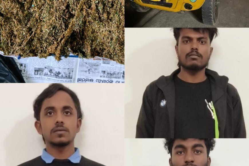 ಮಡಿಕೇರಿ;ಗಾಂಜಾ ಮಾರಾಟ ಮಾಡುತ್ತಿದ್ದ ಮೂವರ ಬಂಧನ