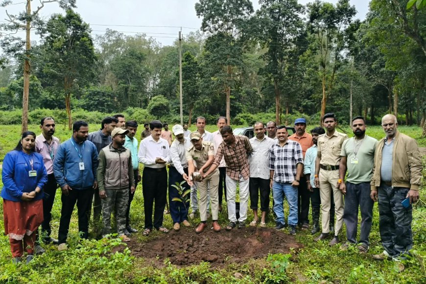 ಮಾಲ್ದಾರೆಯಲ್ಲಿ ಅರಣ್ಯೀಕರಣ ಕಾರ್ಯಕ್ರಮ;ವನ್ಯಜೀವಿಗಳಿಗೆ ಆಹಾರ ಸಿಗುವ ಸಸ್ಯಗಳನ್ನು ಬೆಳೆಸಲು ಕರೆ