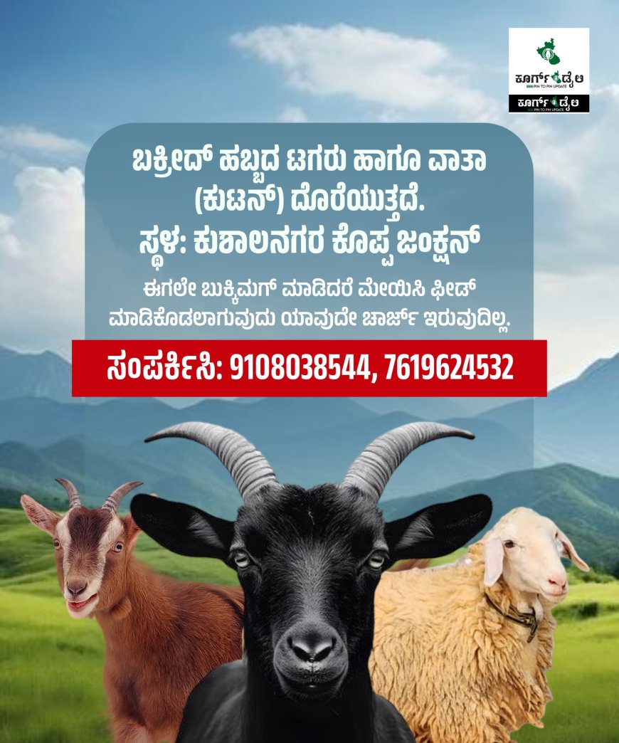 ಬಕ್ರೀದ್ ಗೆ ಟಗರು ಹಾಗೂ ವಾತಾ(ಕುಟನ್) ಹುಡುಕುತ್ತಿದ್ದೀರಾ! ಇವರನ್ನ ಸಂಪರ್ಕಿಸಿ👇🏻