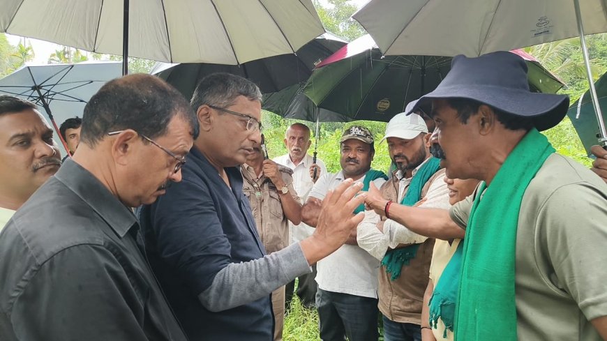 ದಕ್ಷಿಣ ಕೊಡಗಿನಲ್ಲಿ ಮತ್ತೆ ಹಸುವಿನ ಮೇಲೆ ಹುಲಿ ದಾಳಿ, ಎರಡು ಹಸು ಬಲಿ:,  ರೈತ ಸಂಘದಿಂದ ಪ್ರತಿಭಟನೆ