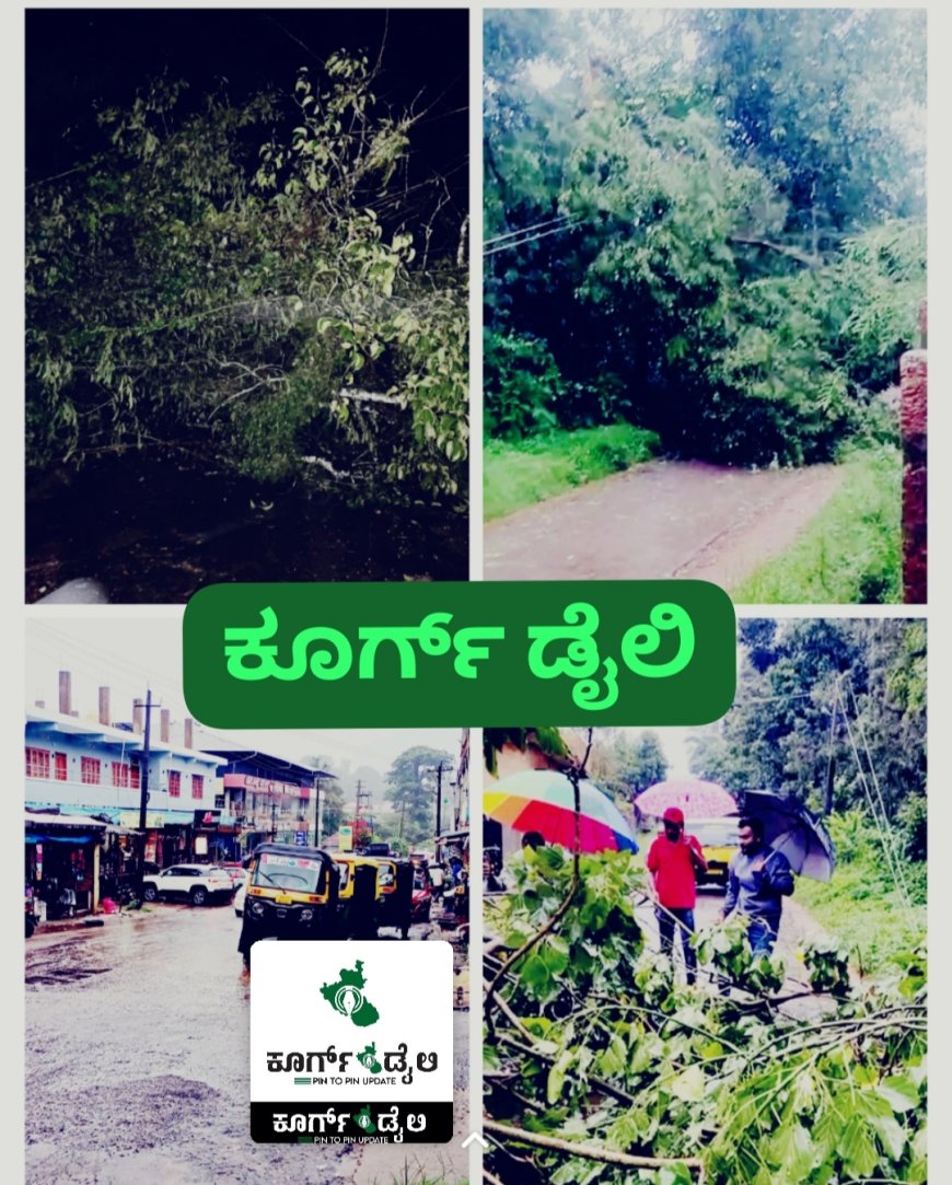 ನಾಪೋಕ್ಲು ವ್ಯಾಪ್ತಿಯಲ್ಲಿ ಮಳೆಯ ಆರ್ಭಟ: ಗಾಳಿ ಮಳೆಗೆ ಧರೆಗುಳಿದ ಮರಗಳು, ನದಿ ತೊರೆಗಳಲ್ಲಿ ನೀರಿನ ಪ್ರಮಾಣ ಹೆಚ್ಚಳ