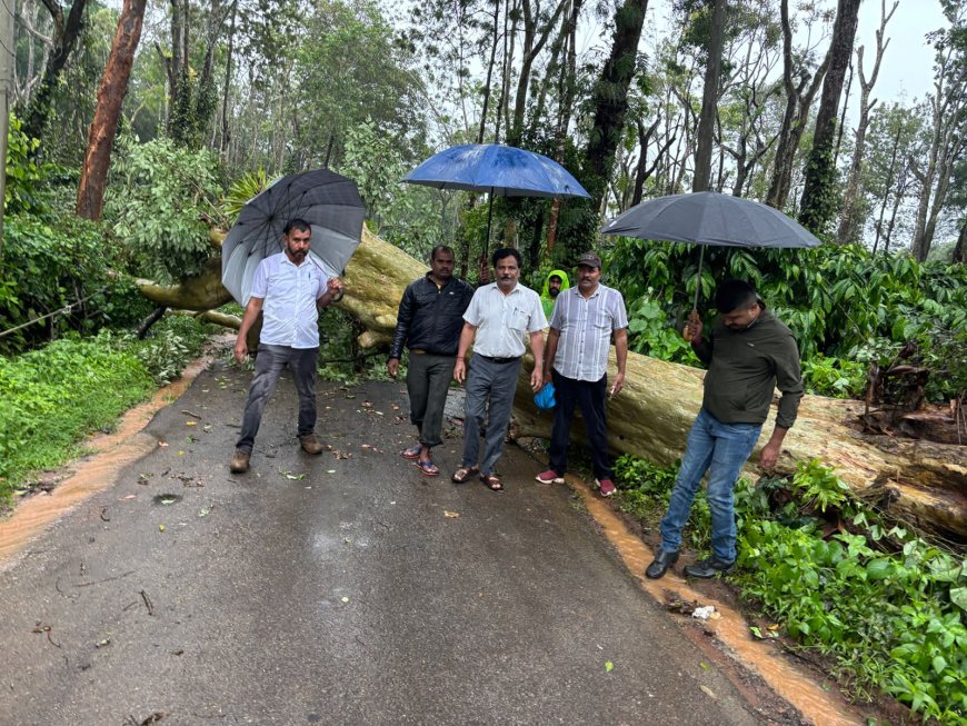 ಕೊಡಗು ಜಿಲ್ಲೆಯಲ್ಲಿ ಮಳೆಯ ಆರ್ಭಟ:ವಾಲ್ನೂರಿನಲ್ಲಿ ತಹಶೀಲ್ದಾರ್ ನೇತೃತ್ವದಲ್ಲಿ ಮರ ತೆರವು ಕಾರ್ಯಚರಣೆ