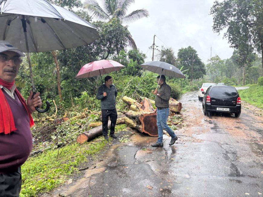 ಮಳೆ ಹಾನಿ ಪ್ರದೇಶಗಳಿಗೆ ಜಿಲ್ಲಾಧಿಕಾರಿ ಭೇಟಿ