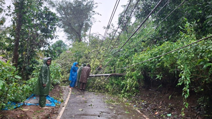ವಿರಾಜಪೇಟೆ: ನೆಹರು ನಗರದಲ್ಲಿ ಭಾರಿ ಗಾತ್ರದ ಮರ ರಸ್ತೆಗೆ: ವಿದ್ಯುತ್ ವ್ಯತ್ಯಯ