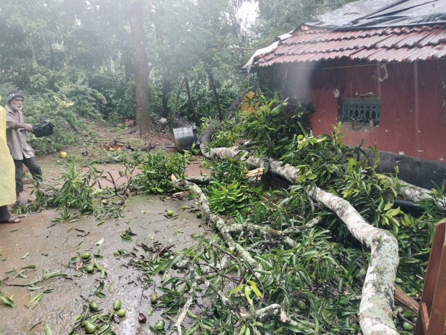 ವರಣಾರ್ಭಟ:ಕೊಡಗು ಜಿಲ್ಲೆಯಲ್ಲಿ ಮತ್ತೊಂದು ಜೀವ ಬಲಿ