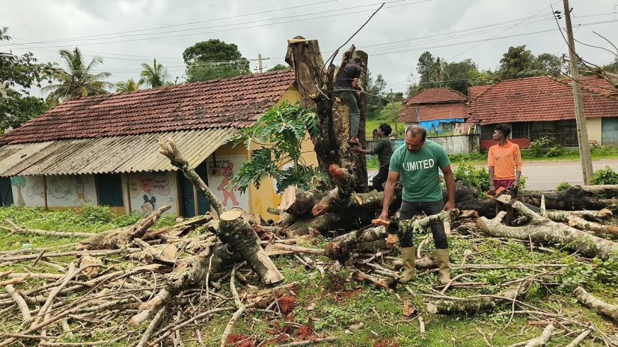 ಪೊನ್ನಂಪೇಟೆ:ಸ್ವಂತ ಖರ್ಚಿನಲ್ಲೇ ಮರ ಕಡಿದು ತೆರವುಗೊಳಿಸಿದ ಪಟ್ಟಣ ಪಂಚಾಯಿತಿ ಸದಸ್ಯ