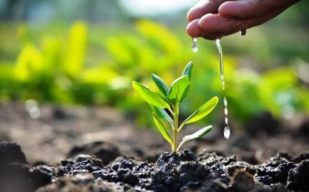 ಪ್ಲಾಸ್ಟಿಕ್ ಮಾಲಿನ್ಯವನ್ನು ಸೋಲಿಸೋಣ ಬನ್ನಿ!  ಪ್ಲಾಸ್ಟಿಕ್ ಮುಕ್ತ ಸಮಾಜ ಕಟ್ಟೋಣ ಬನ್ನಿ!!  ಇಂದು ವಿಶ್ವ ಪರಿಸರ ದಿನ