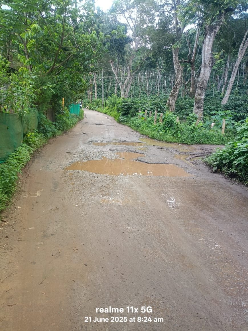 ಸಿದ್ದಾಪುರ:ಗುಂಡಿಮಯ ರಸ್ತೆಯಿಂದ ಹೈರಾಣದ ಜನತೆ