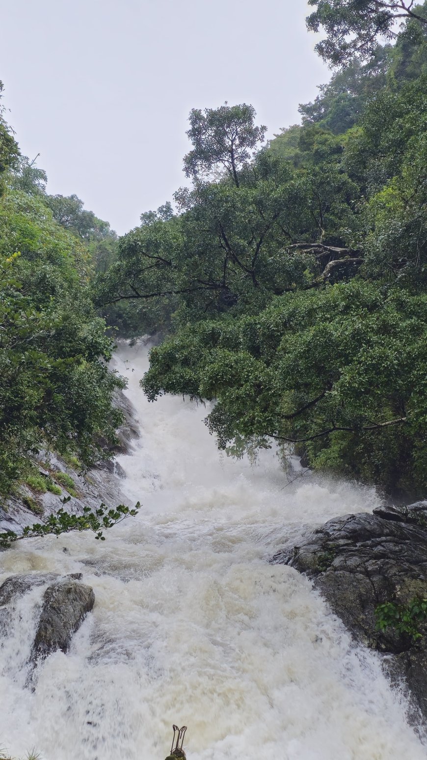 ಕೊಡಗು ಜಿಲ್ಲೆಯ ಮಳೆ ವಿವರ: ಕಳೆದ 24 ಗಂಟೆ ಅವಧಿಯಲ್ಲಿ ಸರಾಸರಿ 27.18 ಮಿ.ಮೀ ಮಳೆ
