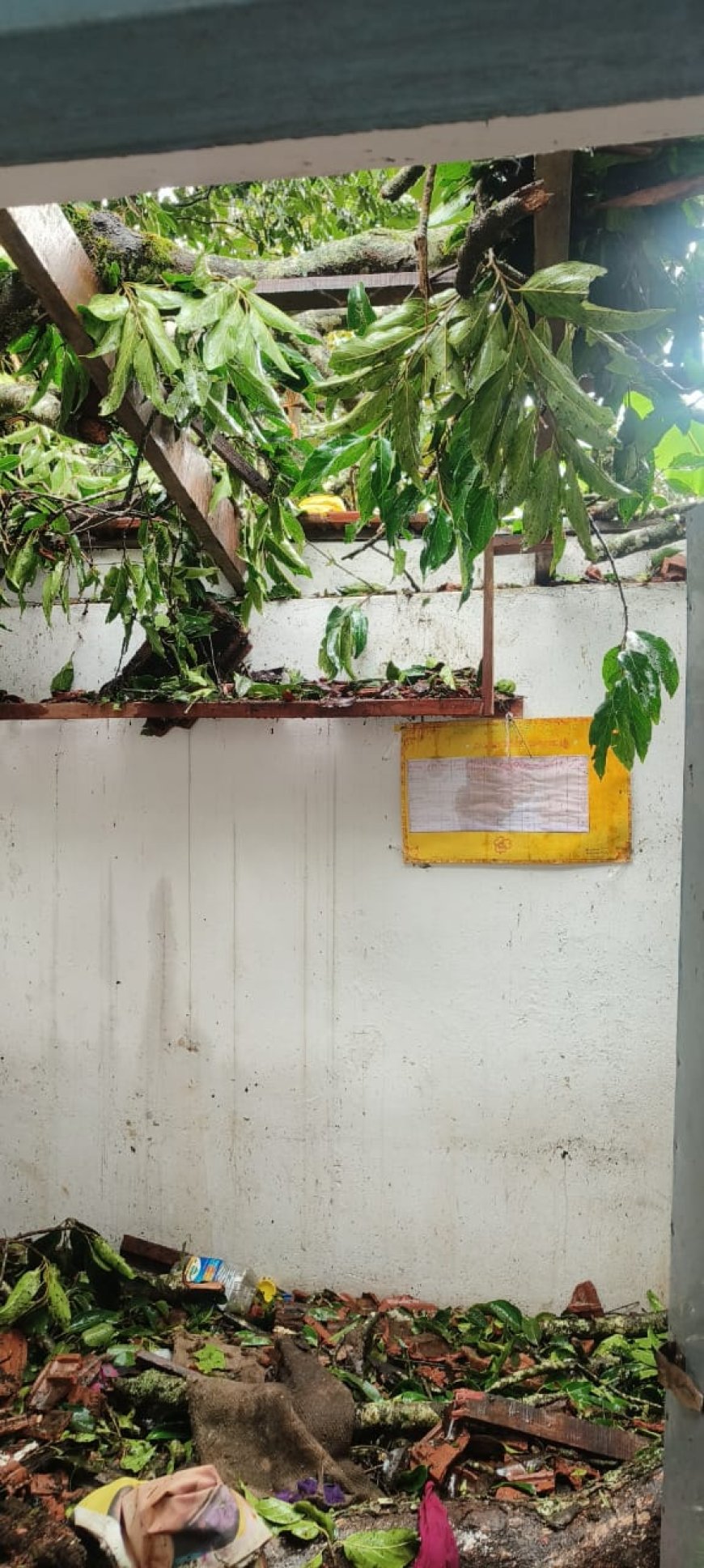 ಗರ್ವಾಲೆ:ಮಳೆ-ಗಾಳಿಯಿಂದಾಗಿ ಅಂಗನವಾಡಿ ಕೇಂದ್ರದ ಮೇಲೆ ಬಿದ್ದ ಮರ:ಮೇಲ್ಛಾವಣಿ ಹಾನಿ