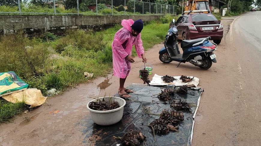 ಅನುಮತಿ ಪಡೆಯದೆ, ರಸ್ತೆ ಬದಿಯಲ್ಲಿ ಏಡಿಗಳ ಮಾರಾಟ ಮಾಡುತ್ತಿದ್ದವರಿಗೆ ಪೊನ್ನಂಪೇಟೆ ಪ.ಪಂ.ನಿಂದ ದಂಡ!