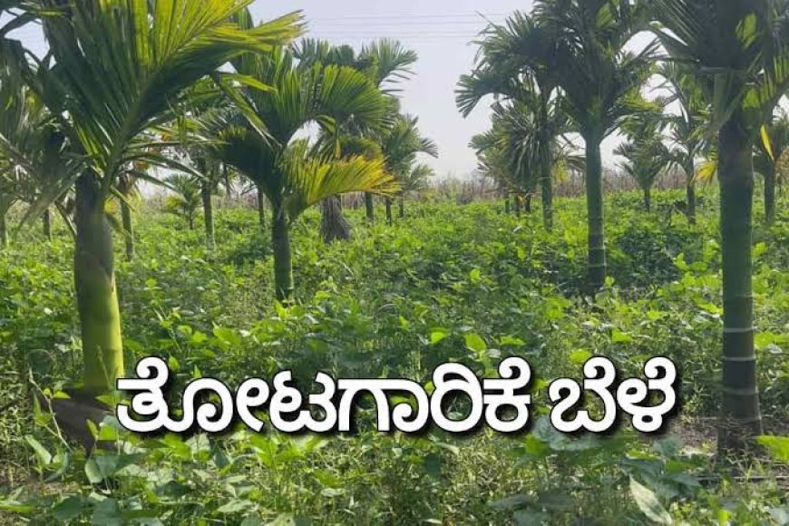 ತೋಟಗಾರಿಕಾ ಬೆಳೆಗಾರರ ಗಮನಕ್ಕೆ