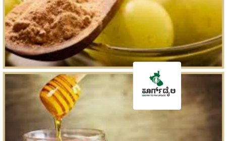 ಪಿತ್ತದಿಂದ ಬರುವ ತಲೆನೋವಿಗೆ ಇಲ್ಲಿದೆ ನೋಡಿ ಮದ್ದು!