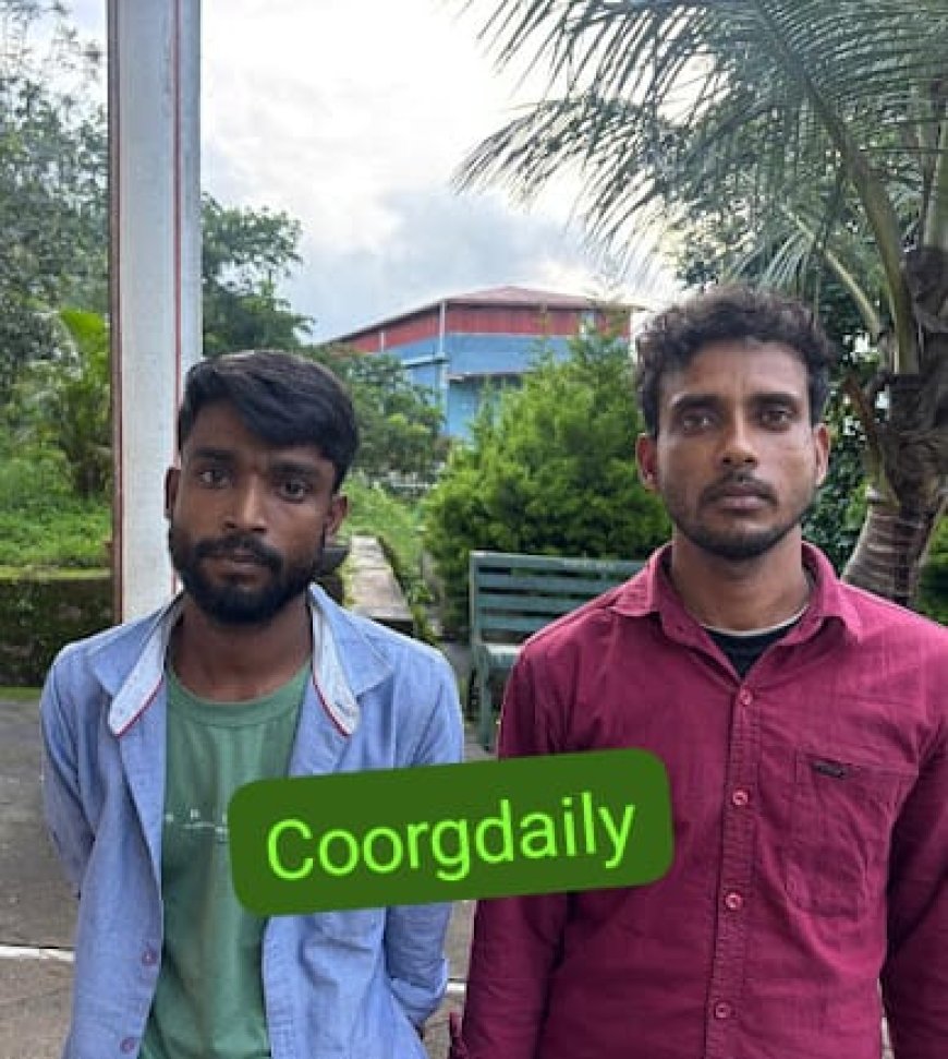 ಗಾಂಜಾ ಮಾರಾಟಕ್ಕೆ ಯತ್ನ ಇಬ್ಬರು ಅರೆಸ್ಟ್: ಚೆಯ್ಯಂಡಾಣೆ ತೋಟದಲ್ಲಿ ಕೆಲಸ ಮಾಡಿಕೊಂಡಿದ್ದ ಇಬ್ಬರು ಅಸ್ಸಾಂ ಮೂಲದ ಕಾರ್ಮಿಕರು ಎಲ್ಲಿ ಸಿಕ್ಕಿಬಿದ್ದರು ಗೊತ್ತೇ!