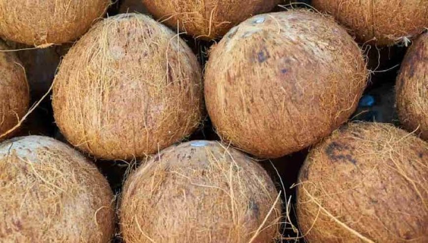 ಮಡಿಕೇರಿ:ಈಡುಗಾಯಿ ಬಹಿರಂಗ ಹರಾಜು