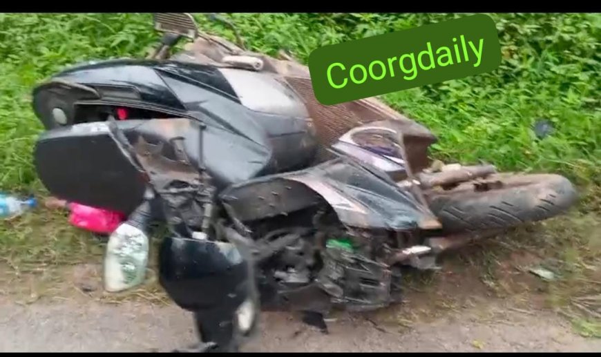 ಮಾಲ್ದಾರೆ:ಕಾಡಾನೆ ದಾಳಿ ಬೈಕ್ ಚಾಲಕ ಪ್ರಾಣಾಪಾಯದಿಂದ ಪಾರು