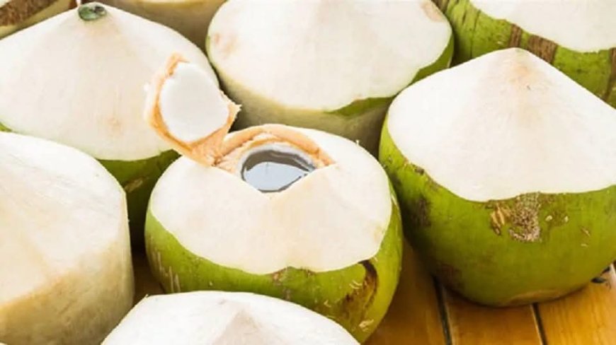 ಎಳನೀರು ಕುಡಿಯುವುದರಿಂದ  ಏನೆಲ್ಲಾ  Health Benefits ಇದೆ ಗೊತ್ತೇ!?