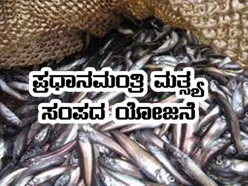ಪ್ರಧಾನ ಮಂತ್ರಿ ಮತ್ಸ್ಯ ಸಂಪದ ಯೋಜನೆಯಡಿ ಅರ್ಜಿ ಆಹ್ವಾನ