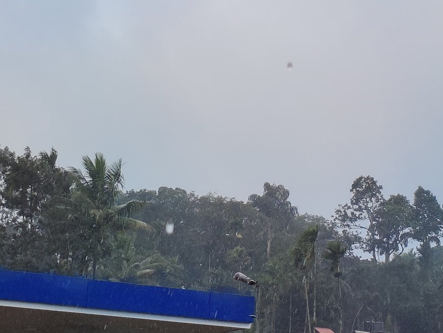 ಕೊಡಗು ಜಿಲ್ಲೆಯ ಮಳೆ ವಿವರ