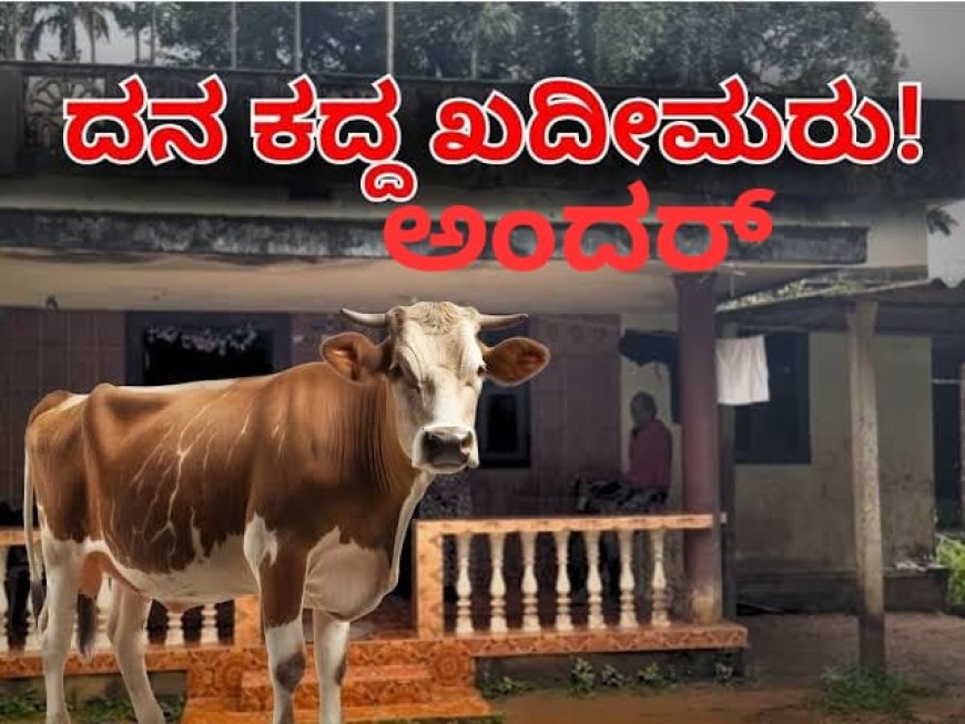 ದನವನ್ನು  ಕದ್ದುಕೊಂಡು ಹೋಗಿ ದನದ ಮಾಲೀಕನ ತೋಟದಲ್ಲೇ ದನವನ್ನು ಕೊಂದ ಮೂವರ ಬಂಧನ