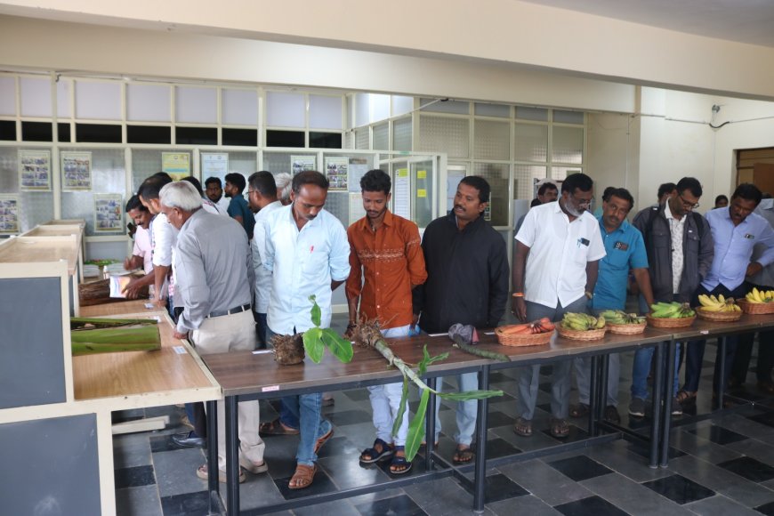 ಲಾಭದಾಯಕ ಬಾಳೆ ಕೃಷಿ-ತರಬೇತಿ ಹಾಗೂ ಕ್ಷೇತ್ರೋತ್ಸವ