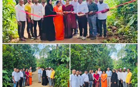 ಕೊಳಕೇರಿ ಪರಕಾಡು ರಸ್ತೆ ಉದ್ಘಾಟನೆ