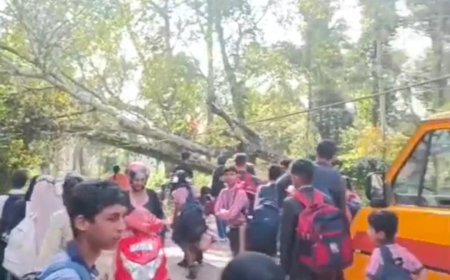 ಕುಂಬಳದಾಳು-ಮೂರ್ನಾಡು ರಸ್ತೆಯಲ್ಲಿ ಮರ ಬಿದ್ದು ರಸ್ತೆ ಸಂಚಾರಕ್ಕೆ ಅಡ್ಡಿ:  ಕಳೆದ ಎರಡು ಗಂಟೆಗಳಿಂದ ರಸ್ತೆಯಲ್ಲೇ ನಿಂತಿರುವ ವಾಹನಗಳು