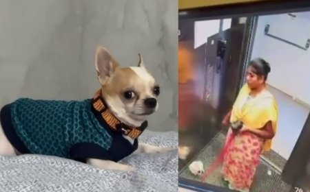 ಮನೆ ಮಾಲೀಕರ ಶ್ವಾನ ಹತ್ಯೆ: ಕೆಲಸದಾಕೆಯಿಂದ ಅಮಾನವೀಯ ಕೃತ್ಯ!