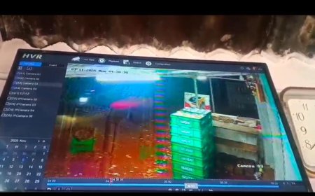 ಪೊನ್ನಂಪೇಟೆ: ಸಮವಸ್ತ್ರ ಧರಿಸಿದ್ದವನಿಂದಲೇ ಹಾಲು ಕಳ್ಳತನ, ದೃಶ್ಯ ಸಿಸಿಟಿವಿಯಲ್ಲಿ ಸೆರೆ   ಕಳ್ಳನನ್ನು ಪತ್ತೆ ಮಾಡಲು ಪೊಲೀಸರಿಗೆ ದೂರು