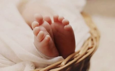 ಮಡಿಕೇರಿ: ಕೊಳೆತ ಸ್ಥಿತಿಯಲ್ಲಿ ನವಜಾತ ಶಿಶುವಿನ ಮೃತದೇಹ ಪತ್ತೆ