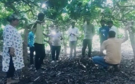 ಮಡಿಕೇರಿ:ಪತ್ನಿಗೆ ವೀಡಿಯೋ ‌ಕಾಲ್ ಮಾಡಿ,ಲೈವ್ ಆತ್ಮಹತ್ಯೆ ಮಾಡಿಕೊಂಡ ಯುವಕ