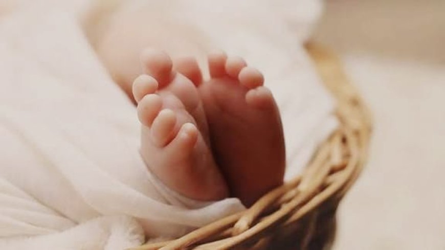 ಮಡಿಕೇರಿ: ಕೊಳೆತ ಸ್ಥಿತಿಯಲ್ಲಿ ನವಜಾತ ಶಿಶುವಿನ ಮೃತದೇಹ ಪತ್ತೆ