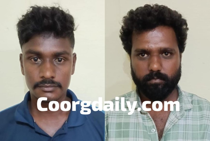 ಚಿನ್ನಾಭರಣ ಕಳವು ಪ್ರಕರಣ: ಇಬ್ಬರು ಆರೋಪಿಗಳ ಬಂಧನ