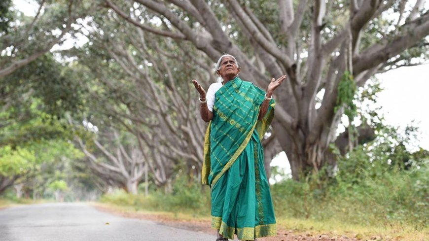 ಮರೆಯಾದ ವೃಕ್ಷಮಾತೆ: ಸಾಲು‌ಮರದ ತಿಮ್ಮಕ್ಕ ‌ಇನ್ನಿಲ್ಲ