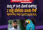 ವಿದ್ಯುತ್ ತಂತಿ ಮೇಲೆ ಕುಳಿತಿದ್ದ 2 ಲಕ್ಷ ಬೆಲೆಯ ಸಾಕು ಗಿಳಿ ರಕ್ಷಿಸಲು ಯತ್ನ: ವಿದ್ಯುತ್‌ ಶಾಕ್‌ಗೆ ಯುವಕ ಮೃತ್ಯು