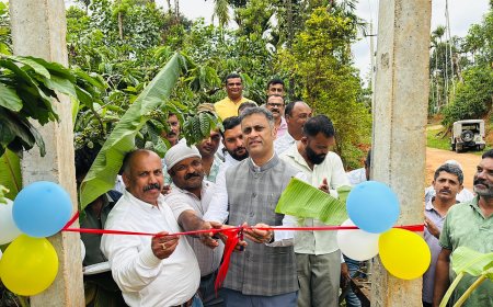 ಪೊನ್ನಂಪೇಟೆ: ಹೈಸೊಡ್ಲೂರಿನಲ್ಲಿ ನೂತನ ವಿದ್ಯುತ್ ಮಾರ್ಗ ಉದ್ಘಾಟಿಸಿದ ಶಾಸಕ ಎಎಸ್ ಪೊನ್ನಣ್ಣ
