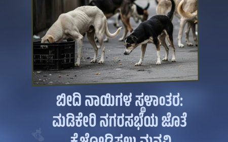 ಬೀದಿ ನಾಯಿಗಳ ಸ್ಥಳಾಂತರ: ನಗರಸಭೆಯ ಜೊತೆ ಕೈಜೋಡಿಸಲು ಮನವಿ