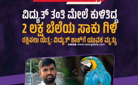 ವಿದ್ಯುತ್ ತಂತಿ ಮೇಲೆ ಕುಳಿತಿದ್ದ 2 ಲಕ್ಷ ಬೆಲೆಯ ಸಾಕು ಗಿಳಿ ರಕ್ಷಿಸಲು ಯತ್ನ: ವಿದ್ಯುತ್‌ ಶಾಕ್‌ಗೆ ಯುವಕ ಮೃತ್ಯು