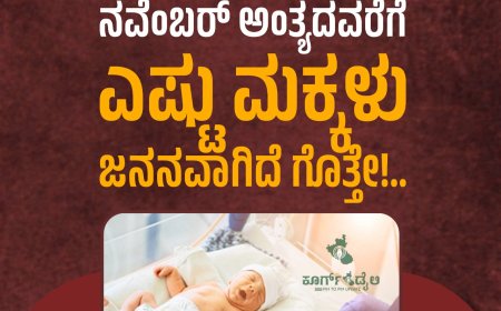 ಕೊಡಗು:2025ರ ಜನವರಿ 1ರಿಂದ ನವೆಂಬರ್ ಅಂತ್ಯದವರೆಗೆ ಎಷ್ಟು ಮಕ್ಕಳು ಜನನವಾಗಿದೆ ಗೊತ್ತೇ!..