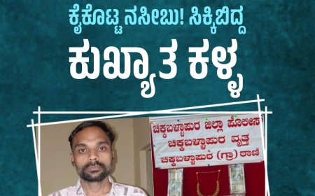 97ನೇ ಮನೆಕಳ್ಳತನದ ವೇಳೆ ಕೈಕೊಟ್ಟ ನಸೀಬು! ಸಿಕ್ಕಿಬಿದ್ದ ಕುಖ್ಯಾತ ಕಳ್ಳ