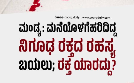 ಮಂಡ್ಯ: ಮನೆಯೊಳಗೆ ಹರಿದಿದ್ದ ನಿಗೂಢ ರಕ್ತದ ರಹಸ್ಯ ಬಯಲು; ರಕ್ತ ಯಾರದ್ದು?