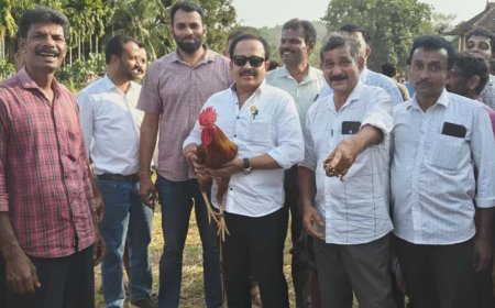 ಕೋಳಿ ಅಂಕಕ್ಕೆ ಪೊಲೀಸರ ನಿರ್ಬಂಧ ಮೀರಿ ತಾನೇ ಮುಂದೆ ನಿಂತು ಅಂಕ ಕಟ್ಟಿಸಿದ ಕಾಂಗ್ರೆಸ್ ಶಾಸಕ!