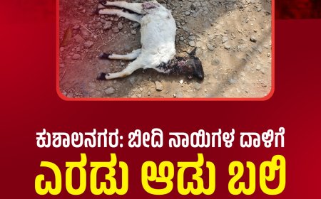 ಕುಶಾಲನಗರ:,ಬೀದಿ ನಾಯಿಗಳ ದಾಳಿಗೆ ಎರಡು ಆಡು ಬಲಿ