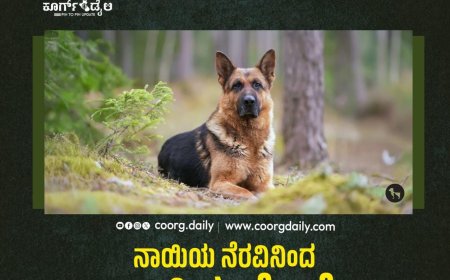 ನಾಯಿಯ ನೆರವಿನಿಂದ ಅಜ್ಜಿಯ ಕೊಲೆ ಪ್ರಕರಣ ಬಯಲು; ಮೊಮ್ಮಗನ ಬಂಧನ