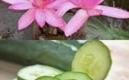 ಕುತ್ತಿಗೆ ಸುತ್ತ ಕಪ್ಪು ಕಲೆಗಳು ಆಗಿದ್ದರೆ! ಏನ್ಮಾಡಬೇಕು ಗೊತ್ತಾ!