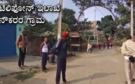 ಒಬ್ಬಿಬ್ಬರಲ್ಲ… ಒಂದೇ ಇಲಾಖೆಯಲ್ಲಿ 80 ಜನ ನೌಕರರು; ದೂರವಾಣಿ ನೌಕರರ ಗ್ರಾಮವೆಂದೇ ಖ್ಯಾತಿ