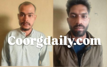 ಸಿದ್ದಾಪುರ:ಗಿಡದಿಂದ ಕಾಫಿ ಕದ್ದ ಕಳ್ಳರು:  ಇಬ್ಬರ ಬಂಧನ