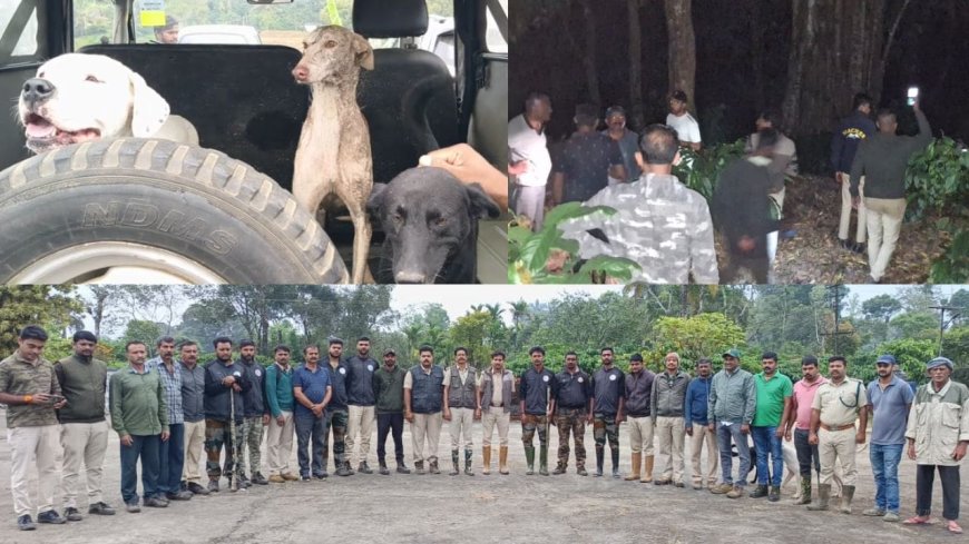 ಕೊಡಗು: ಕಾಫಿ ತೋಟದಲ್ಲಿ ನಾಪತ್ತೆಯಾಗಿದ್ದ 2 ವರ್ಷದ ಮಗುವನ್ನು ಪತ್ತೆ ಮಾಡಿದ ಶ್ವಾನ  :  ರಾತ್ರಿಯಿಡೀ ತೋಟದಲ್ಲಿ ಒಬ್ಬಂಟಿಯಾಗಿದ್ದ ಮಗು ಬದುಕಿದ್ದೇ ಪವಾಡ!